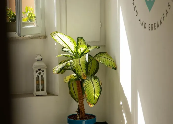 Indarsena Bed & Breakfast Portoferraio