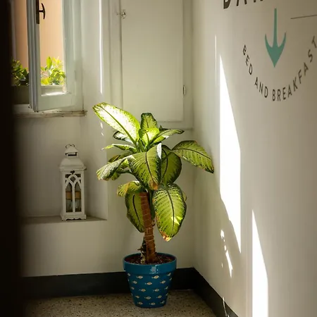 Indarsena Bed and breakfast Portoferraio
